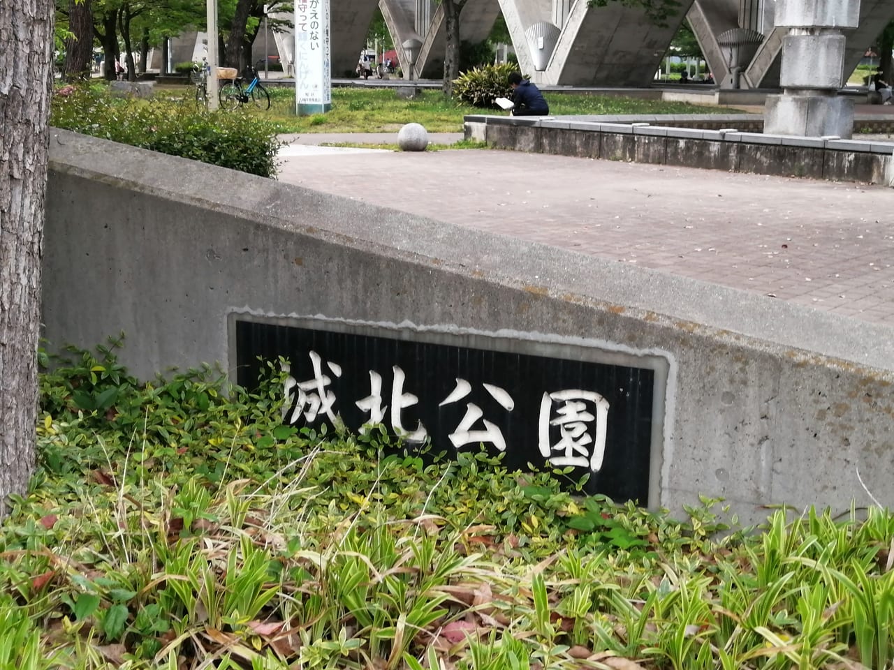 城北菖蒲園ドローン空撮で公開