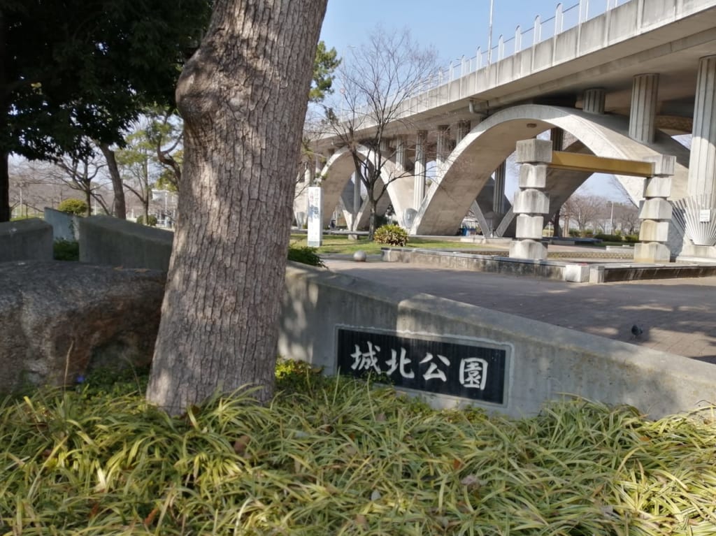 大阪市旭区　城北公園　桜　2021年4月