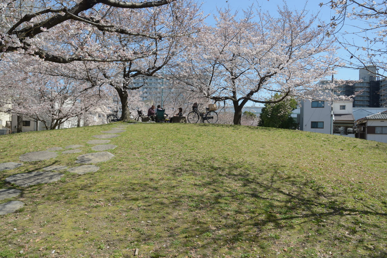 太子橋公園の桜
