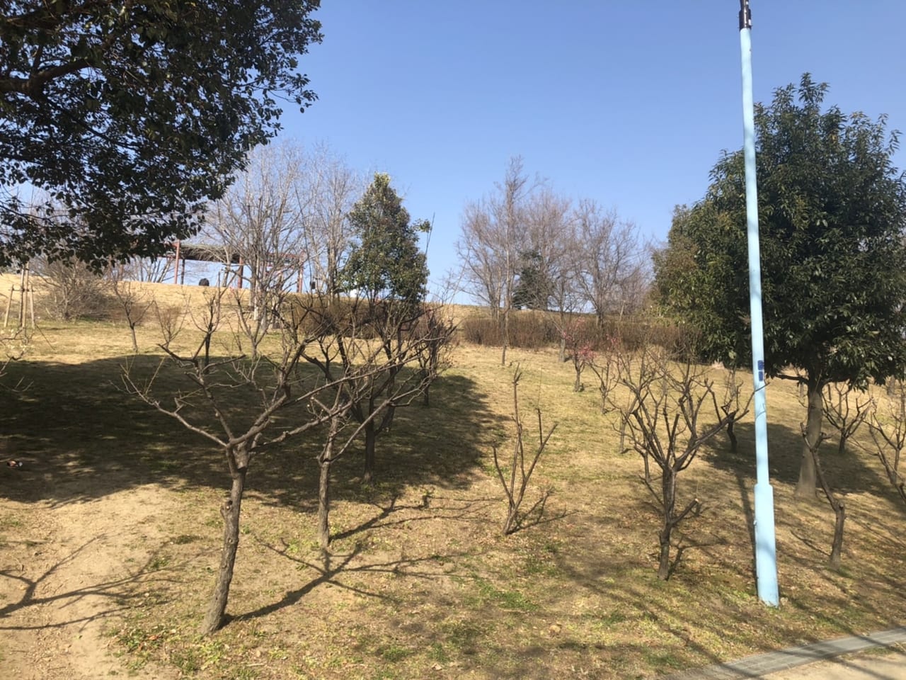 城北公園