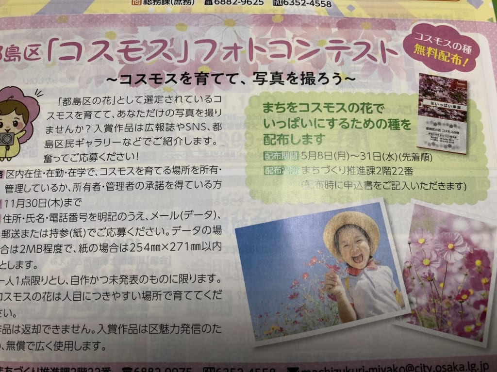 フォトコンテスト
