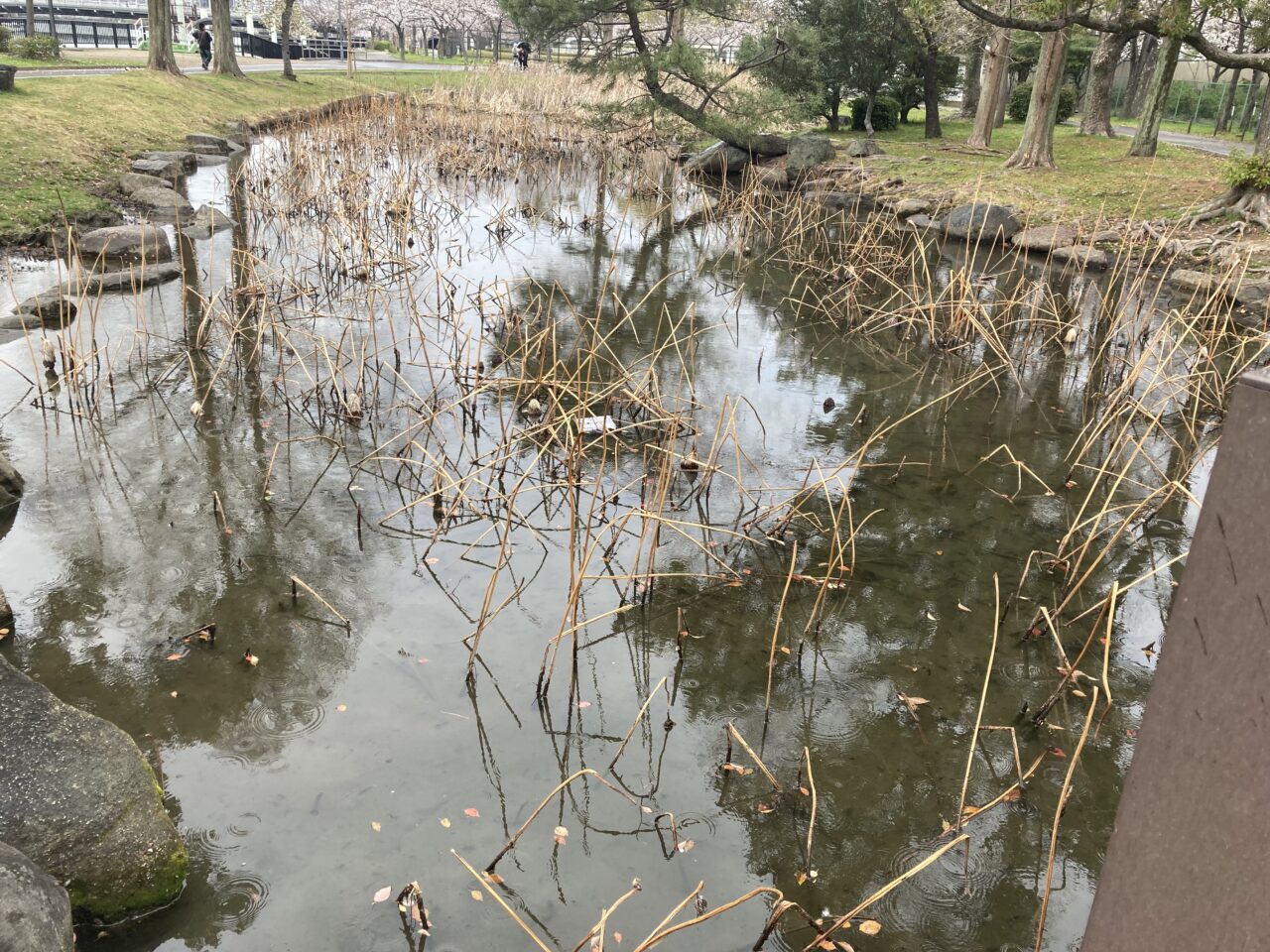 ひょうたん池