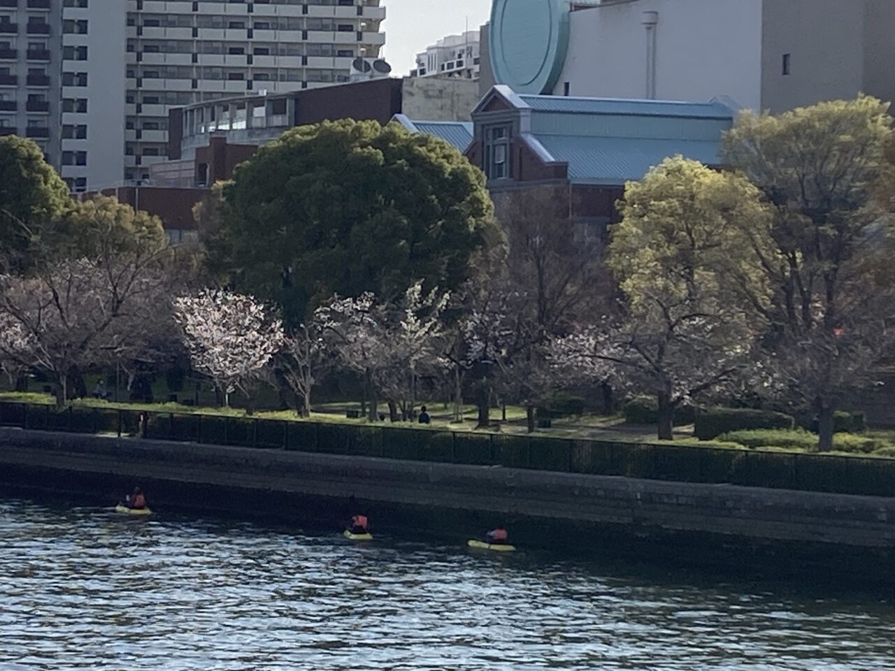 ookawa
