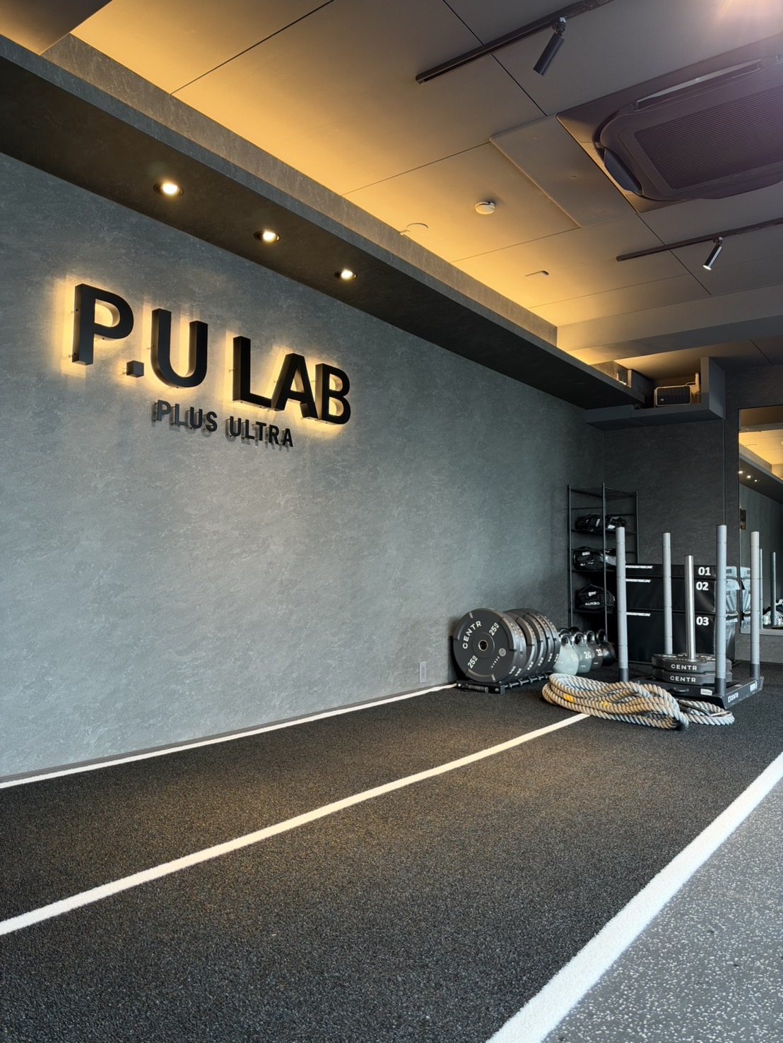 pulab